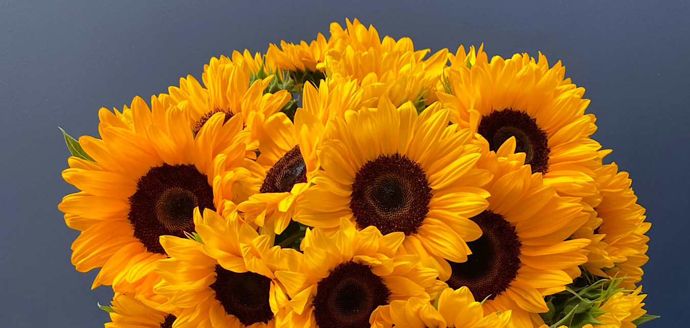 Bouquet de Tournesols