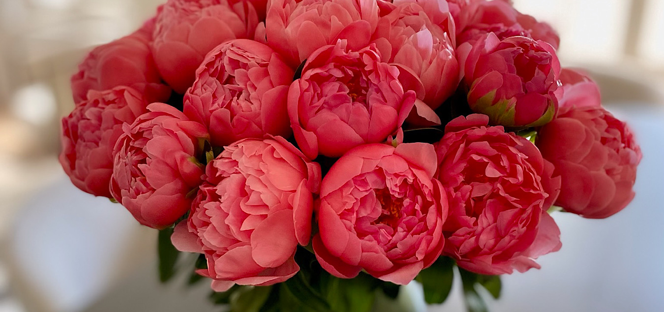 garantir la fraîcheur et la qualité des fleurs de luxe